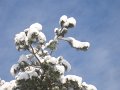 Winter1011 (69)